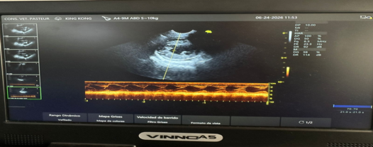 Equipamiento avanzado para cardiología veterinaria